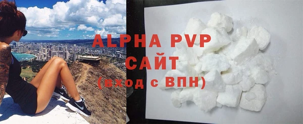 дмт Бородино
