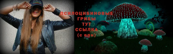 дживик Верхний Тагил