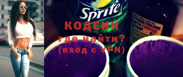 дживик Верхний Тагил