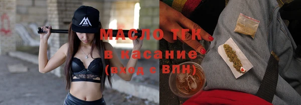 дмт Бородино