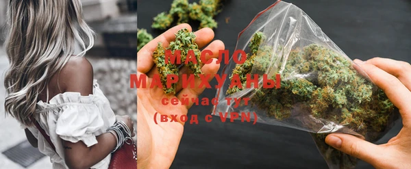 дмт Бородино