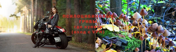 гидра Верхнеуральск