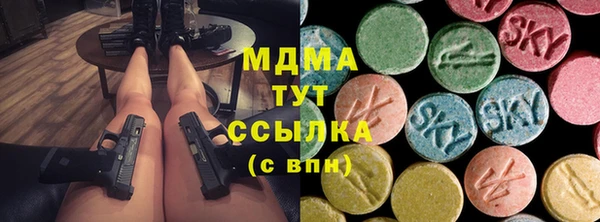 дмт Бородино