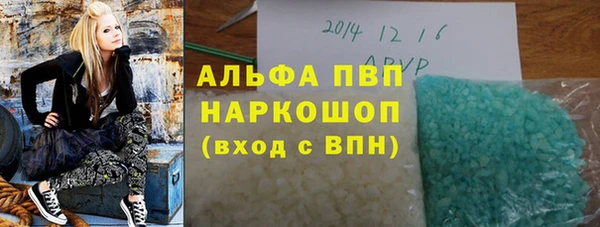 дживик Верхний Тагил