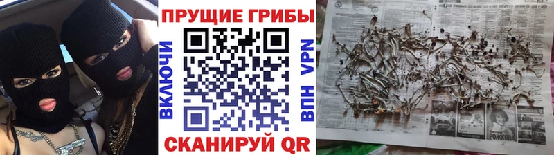 Галлюциногенные грибы Magic Shrooms  Стерлитамак 