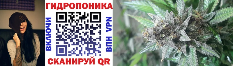 Конопля план  купить наркотик  Стерлитамак 